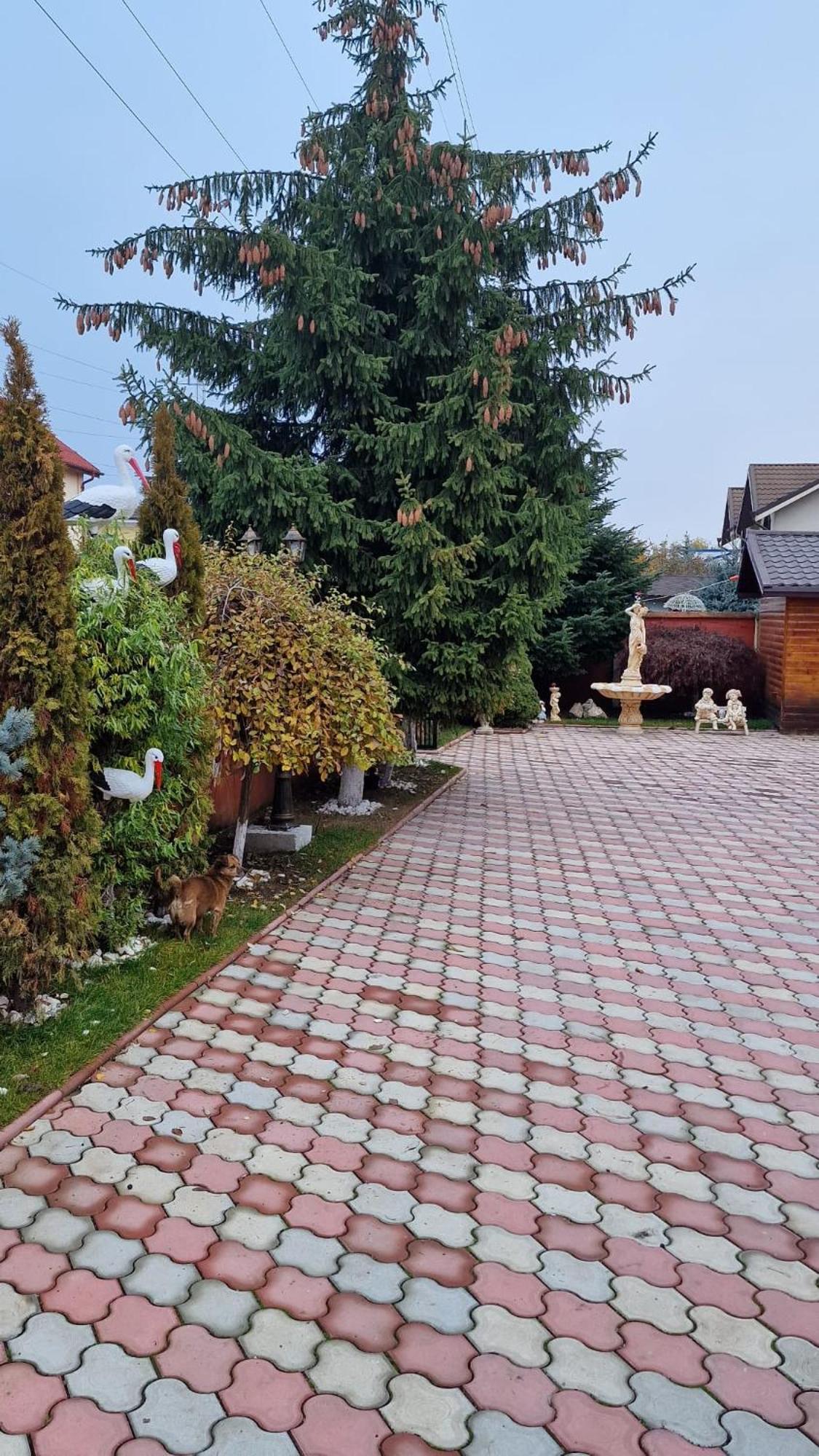 Pensiunea Toma Ploiesti Exterior photo